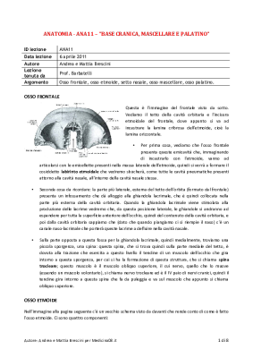 Sbana11. Base cranica Mascellare e Palatino